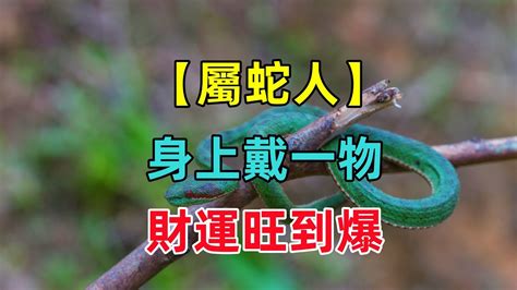 屬蛇配戴|【屬蛇配戴】屬蛇佩戴精選飾品，助好運亨通迎富貴！